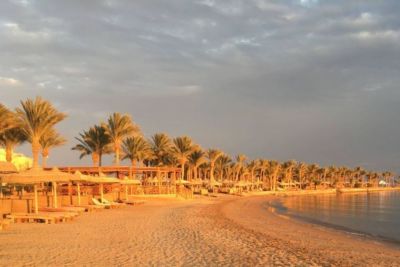 фото отеля palm royale soma bay 5* #3