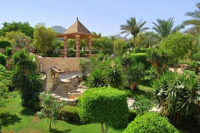 фото отеля royal grand sharm resort 5* #3