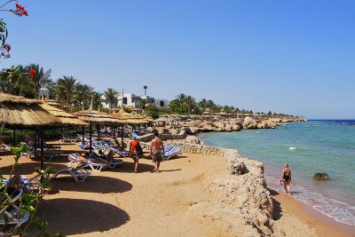 фото отеля royal grand sharm resort 5* #1
