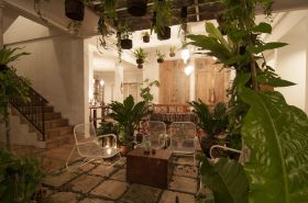 отель brown feather hotel 4*, бали