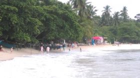 отель chandra holiday home, dikwella
