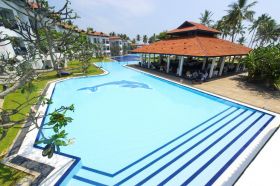отель club hotel dolphin 4*, вэйккал