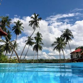 отель green parrot hotel 4*, тангалла