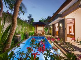 отель lumbini villas & spa 4*, бали