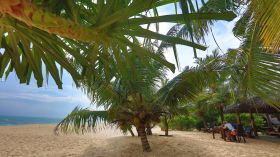 отель mangrove beach cabana, тангалла
