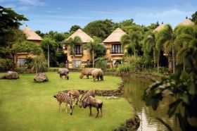 отель mara river safari lodge bali 4*, бали