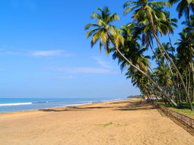 отель royal palms 4*, калутара