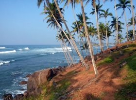 отель sounds of nature mini hotel, mirissa