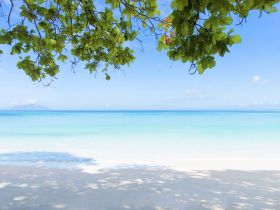 отель the h resort beau vallon beach 5*, маэ